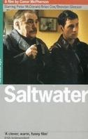 盐水Saltwater (2000)