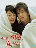 像暴风雨般的恋爱 (2004)