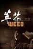 草芥/Weed(2006)