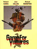 秃鹰游戏/A Game for Vultures(1979)