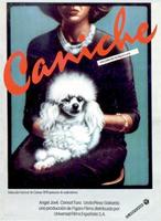 卷毛狗Caniche (1979)