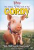 我不笨所以我说说说/Gordy