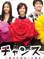 她成功的理由 (2009)