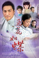 飞花如蝶 (2006)