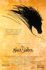 黑神驹/The Black Stallion(1979)