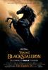 黑神驹前传/The Young Black Stallion