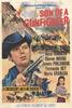 神枪手之子/Son of a Gunfighter(1965)