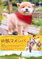 豆柴小犬Yoju: Mame shiba (2009)