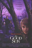 危险小天使The Good Son (1993)