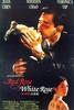红玫瑰白玫瑰/Red Rose White Rose(1994)