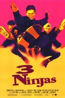 小鬼难缠又当家/3 Ninjas(1992)