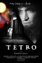 泰特罗/Tetro(2009)