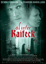 麻醉谋杀案/kaifeck murder(2009)