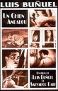 安达鲁之犬/Un chien andalou(1929)
