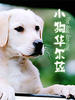 小狗华尔兹(2004)