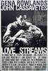 爱的激流/Love Streams(1984)