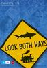 死亡，小心穿越/Look Both Ways(2005)