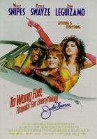 艳倒群雌To Wong Foo, Thanks for Everything! Julie Newmar (1995)