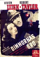 魂断蓝桥Waterloo Bridge (1940)