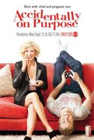 爱非偶然Accidentally on Purpose (2009)