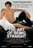如何成为直人/The Art of Being Straight(2008)