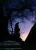 达摩为何东渡/Why Did Bodhi-Dharma Leave for the East?