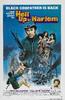 Hell Up in Harlem(1973)