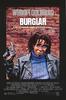 夜贼/Burglar