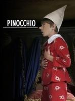 木偶奇遇记Pinocchio (2008)