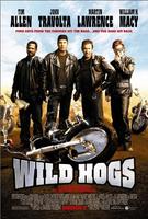 惊骑之旅Wild Hogs (2007)
