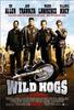 惊骑之旅/Wild Hogs