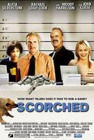 焦头烂额Scorched (2003)