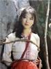 绿色的网/Trap in a primeval forest(1986)