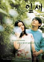 寻找她香的故事Ipsae (2001)