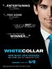 妙贼警探/White Collar(2009)