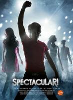 青春华丽丽Spectacular! (2009)