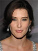 寇碧·史莫德斯 Cobie Smulders)