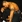 Randy Orton