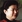 Jing Li
