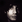 Jonny Greenwood