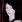Claudia Black