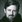 Bruce Harwood