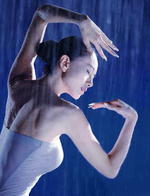 杨丽萍 Liping Yang