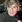 Christopher Doyle