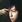 Ashin Chen