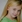 Sierra McCormick