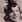 Wendy Hiller