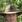 John Allen Nelson