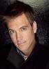 迈克尔·韦瑟利 Michael Weatherly)