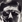 Raizô Ichikawa